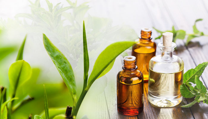 The Awesome Skincare Benefits of Tea Tree Oil
