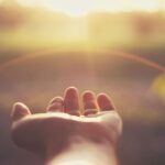 An Ultimate Guide For You To Know About The Delta 8 Of Your System