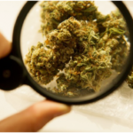 Ultimate factors to discover a cbd pen for smoking experience