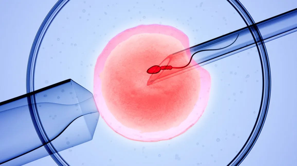 Infertility Medical Trends And Predictions: The Future Of IVF