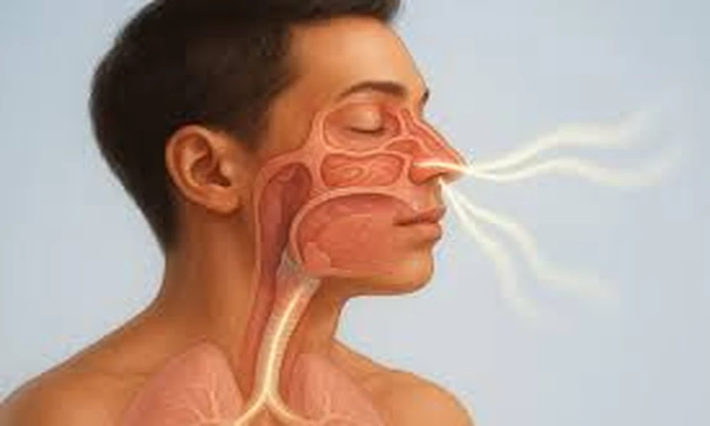 Why Clear Nasal Breathing Matters Every Day